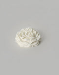 White peony flower on a gray background