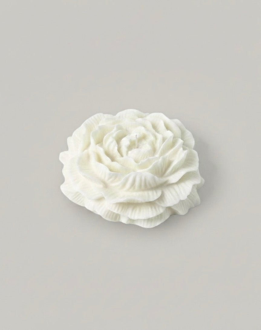 White peony candle  on a gray background